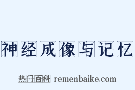 神经成像与记忆是什么意思的图片